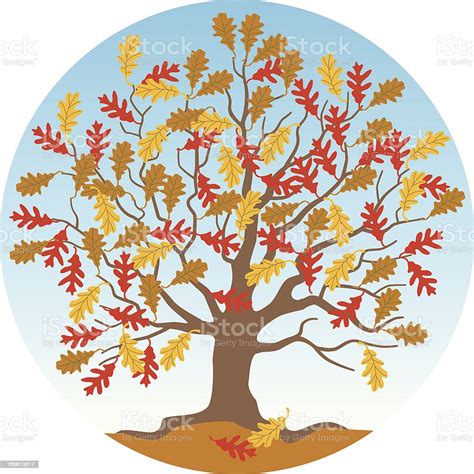 Autumn Oak Tree Stock Illustration Download Image Now Autumn