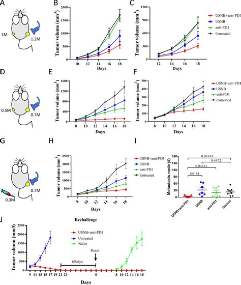 Ultrasound Combined With Nanobubbles Promotes Systemic Anticancer