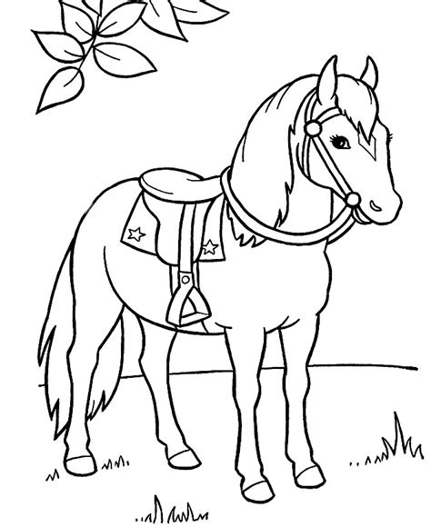 Descargamos dibujos para colorear – caballo.