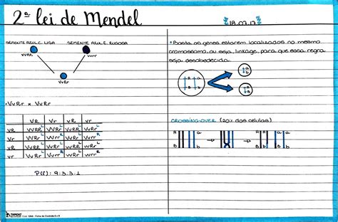 1 E 2 Lei De Mendel Mapa Mental Várias Leis