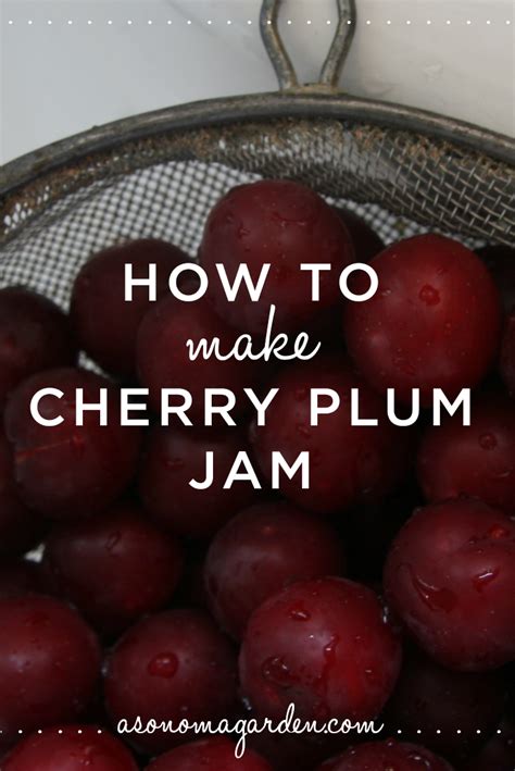 How To Make Cherry Plum Jam