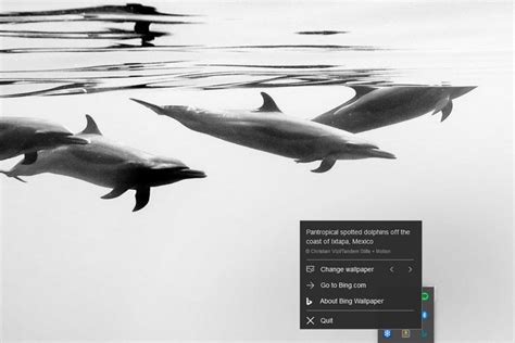 Bing Wallpaper Sets Bings Daily Photos As Your Desktop