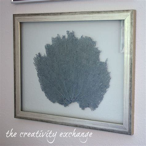 We did not find results for: DIY Double Sided Glass Frames for Framing Shells or Dyed ...