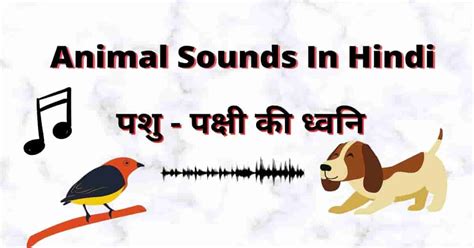 Animal Sounds In Hindi पशु पक्षी की ध्वनि Animal Sounds Scary