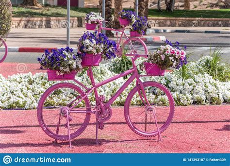 Fill your cart with color today! Pink Bike With Flowers At Roundabout Stock Image - Image ...