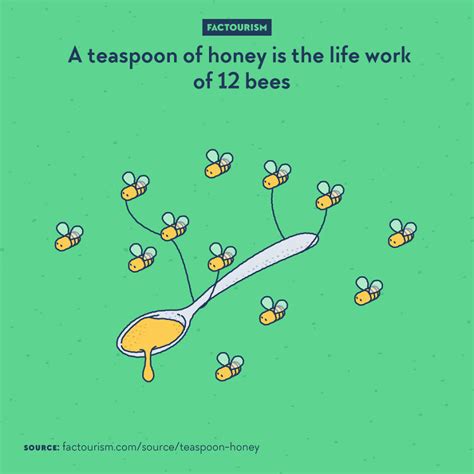 We Illustrated 40 Of The Most Fascinating Facts About Our World Bored