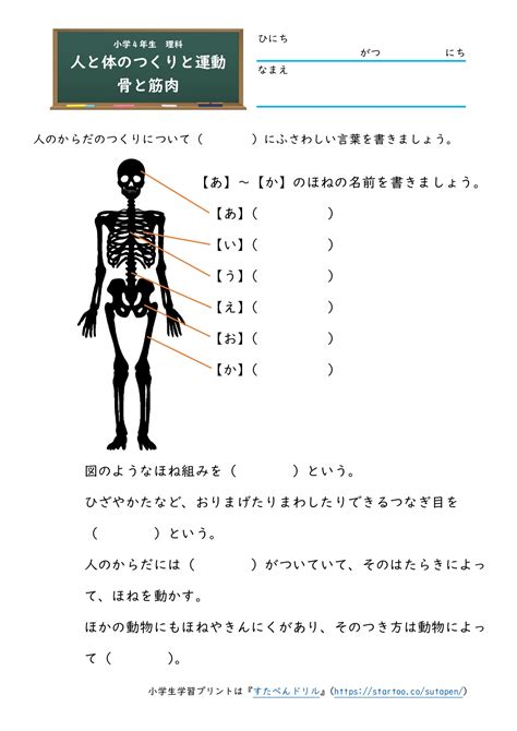 Download 小学4年生 Images For Free