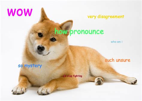 The best memes from instagram, facebook, vine, and twitter about shiba inu. The shiba inu went viral online. What happened to the ...