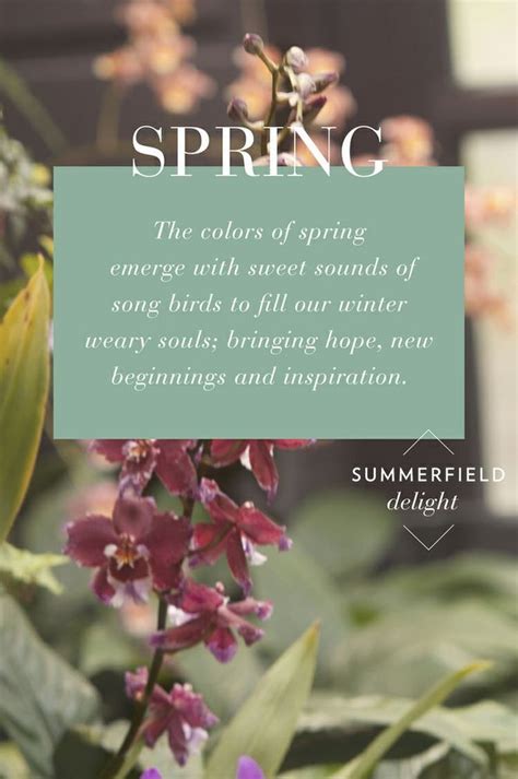 It begins with gentle blossoms of primroses and end with powerful burst of scents and life of energy. Quotes About Spring: 20 Sayings About Flowers And ...