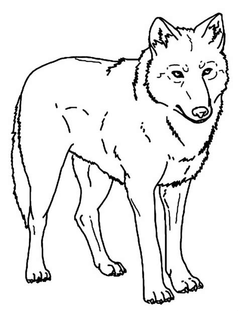 100 Desenhos De Lobo Para Colorir E Imprimir