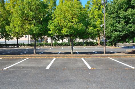 It's a tight, closed up space that has plenty of cover. Paving Contractors Share 5 Asphalt Parking Lot Maintenance ...