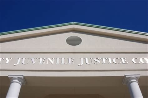 The objectives of the study are to: Juvenile Court Process - INDIANA CHINS