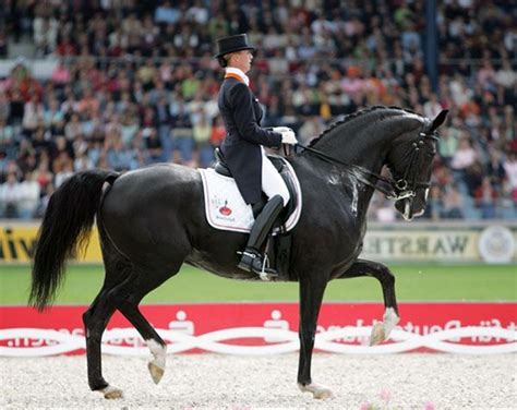 Theodora elisabeth gerarda anky van grunsven is a dutch dressage champion who is the only rider to record three successive olympic wins in. Anky van Grunsven met Salinero | Horse life, Horses ...