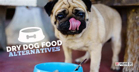 Maybe you would like to learn more about one of these? Dry Dog Food Alternatives | Sit Means Sit South Denver
