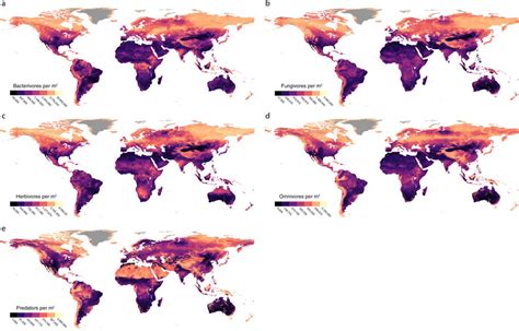Global Maps Of Nematode Trophic Group Abundance Per Unit Area M² A