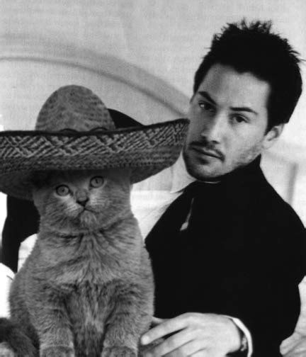 Just A Picture Of Keanu Reeves Hanging Out With A Cat In A Sombrero No