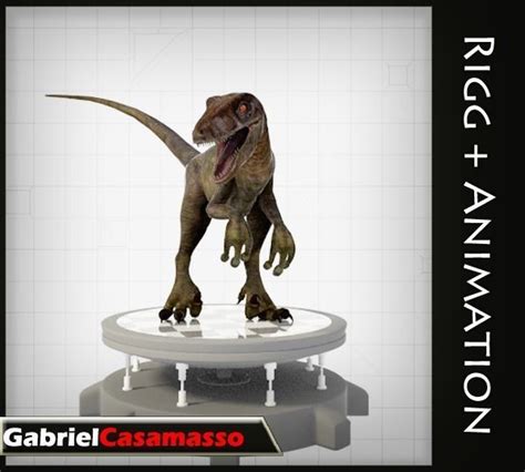 Velociraptor 3d Asset Animated Cgtrader