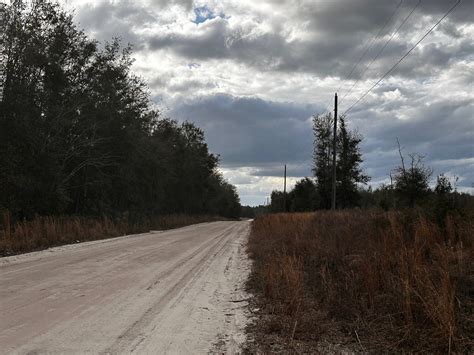 Own 80 Acres of Suwannee County Goldmine: Timber Investment & Outdoor