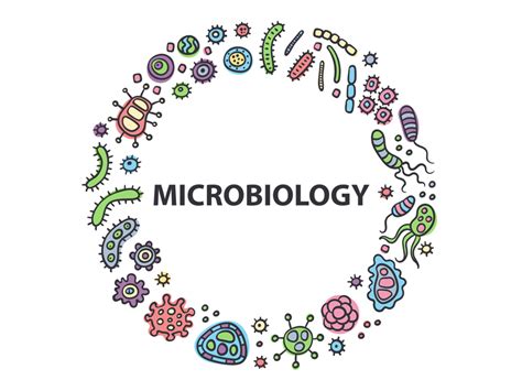 Microbiology Logo By Vasilinka On Dribbble