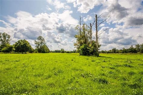 De watersnip is dé ambassadeur. Beringen - Vallei van de Zwarte Beek - Internetgazet