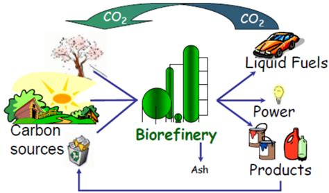 In biomass conversion and biorefinery. Genetic Strategies to Enhance Plant Biomass Yield and ...