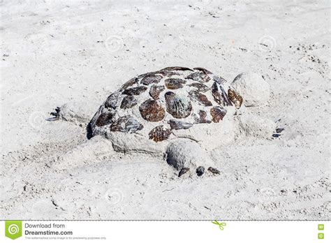 Sand Sculpture Of A Turtle On A Beach Stock Photo Image Of Design