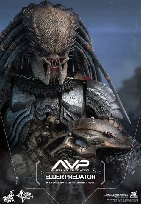 Preview Hot Toys Mms325 Avp Alien Vs Predator 1 6th Elder Predator Collectible Figure