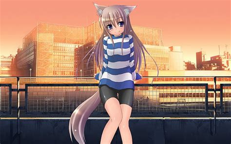 3440x1440px Free Download Hd Wallpaper Spats Cat Girl Nekomimi