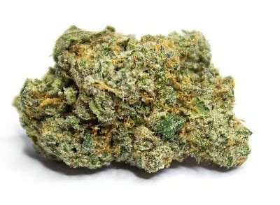 Check spelling or type a new query. GELATO #33 Marijuana, Order Weed Online From The Green Man
