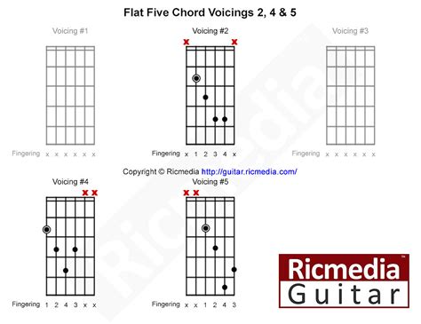 Flat Five Chord Ricmedia Guitar