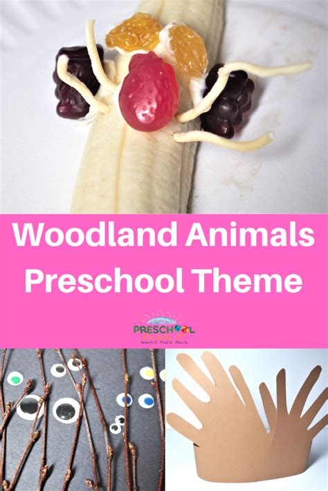 Woodland Animals Theme For Preschool