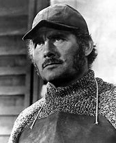 Image result for Robert Shaw