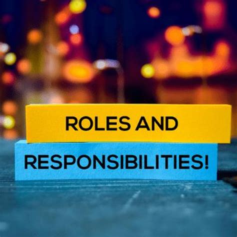 Organisational Roles Responsibilities Accountabilities And Authorities