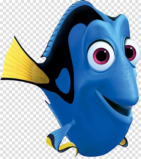 Baby Dory Transparent Background Art Fidgety