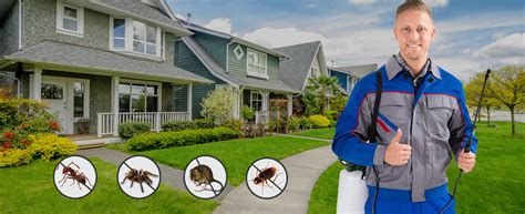 Unfortunately, infestations are on the rise in maryland, virginia, and dc, as well as throughout the u.s. Pest Control London| Pest exterminator London Ontario ...