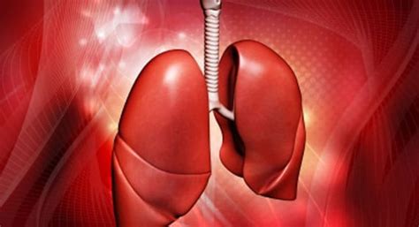 What Are Symptoms Of Lung Cancer And How Yoga Cure It