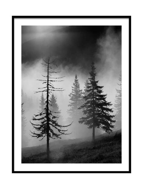 Art Print Misty Forest 16x20 Nature Black And White Mist Forest