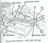 Photos of Vacuum Hose Diagram Chevy 305