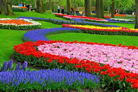  gambar-pemandangan-taman-bunga-foto-bunga-tulip-flower-gar ...