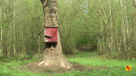 This air rifle is great for beginners and robust enough to kill rats. Pest Control with Air Rifles - Squirrel Shooting - A ...