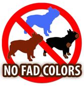 French Bulldog Fad Colors Explained - French Bull Dog Club ...