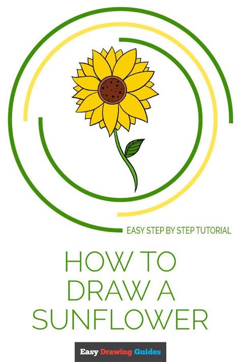 Sunflower Drawing Easy Free Download On Clipartmag