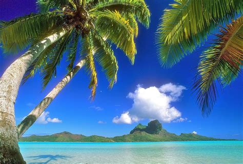 I've got my own webhost account, the 'divi' theme and whenever i try to 'upload' a background image, it comes up with a very dark black screen. Hawaiian Backgrounds Image - Wallpaper Cave