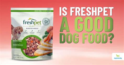 Freshpet Dog Food Reviews Dogs Naturally
