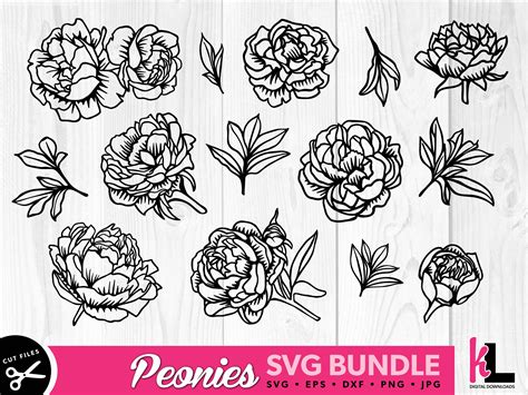 Peony Svg Flower Svg Bundle For Cricut Layered Floral Cut Etsy