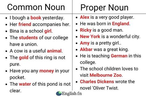 What Is Common Noun With Examples English Fn