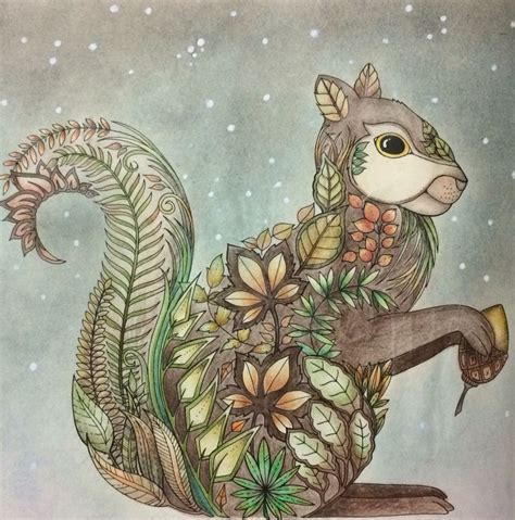 Parashat kedoshim tells of the laws of holiness and ethical behavior, repeats the ten commandments, and describes penalties for sexual transgressions. Floresta Encantada - esquilo (MOT) | Enchanted forest ...