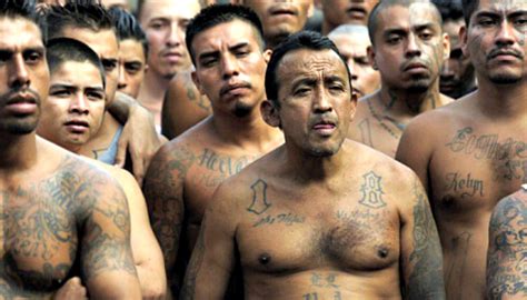 And finally, the most iconic gang/prison tattoo is the teardrop. 24 MS-13 Gang Members Facing Federal Indictment For ...