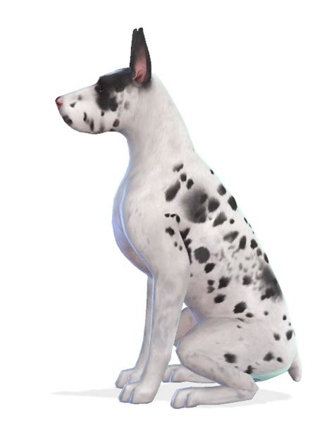 Genie The Great Dane At Enchanting Essence Sims 4 Updates