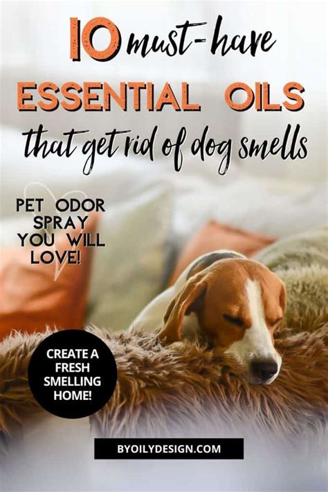 To easily lift ink from your couch is to use hairspray and then slowly dab it with a paper towel until the ink and hairspray absorb into the paper towel. How to get dog smell out of your couch - By Oily Design